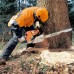 STIHL MS 250